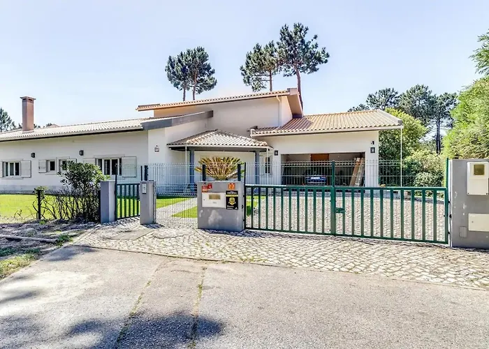 Newly Renovated | By Airnest 沙尔内卡